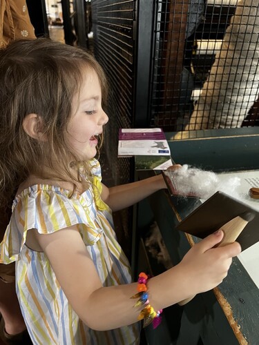 Figure 3. A child exploring the tactile experience of carding wool.