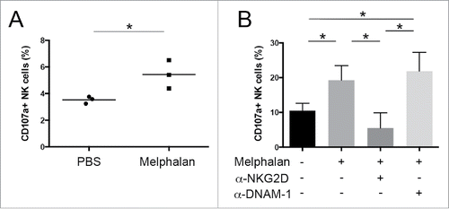 Figure 6. Degranulation of NK cells against MM cells. Expression of the lysosomal marker CD107a was evaluated by immunostaining and flow cytometry on IL-15 activated NK cells upon their interaction with (A) FACS-sorted CD138+ MM cells from tumor-bearing mice or (B) 5TGM1 MM cells used as target at 1:1 cell ratio. To evaluate NKG2D and DNAM-1 contribution, degranulation assay was also performed by pre-incubating NK cells with anti-NKG2D or anti-DNAM-1 blocking antibodies. Each circle or square represents a mouse. The horizontal bar represents the mean value. Error bar represents SEM. * p < 0.05.