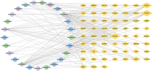 Figure 4 SEZW-AGA network. Circles represent the active compounds in SEZW and diamonds represent the SEZW-AGA common targets. Purple, green, blue, and pink represent the target compounds of FLL, EH, CO, and RRP, respectively.