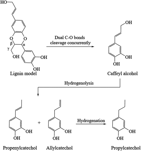 Figure 5. Reaction pathway of Ru catalyst-catalyzed hydrogenolysis of catecholignans [Citation73].