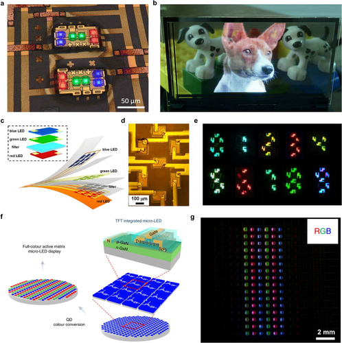 Figure 2. Micro-LEDs for display. a) Microscope image of energized PixelEngine All-in-Ones. b) Image of a 70 (pixels per inch) PPI5.1’ full-color transparent micro-LED display. Reproduced with permission [Citation51]. Copyright 2023, IEEE. c) Exploded schematic of stacked RGB microLED arrays. d) Microscope image of an array forming seven-segment display. e) Microscope image of colorful binary digits shown by seven-segment displays. Reproduced with permission [Citation33]. Copyright 2021, National Academy of Sciences. f) Schematic of full-color micro-LEDs display with 2D semiconductor material TFTs and QDs. g) Microscope image of the full-color Micro-LEDs display with QDs color conversion. Reproduced with permission [Citation38]. Copyright 2022, Nature Publishing Group.