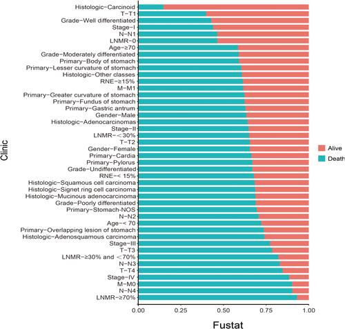 Figure 2 Survival and death ratio of clinical features of postoperative patients with gastric cancer in the SEER database in each subtype.