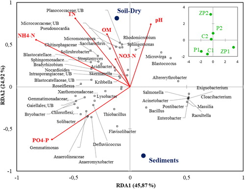 Figure 5. Relationship between the abundance of dominant genera in the bacterial communities and environmental factors in natural and seasonally flooded wetlands.