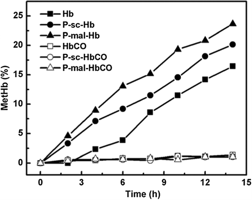 Figure 8. The metHb formation kinetics of the Hb and HbCO samples. The experiments were carried out by incubation of the Hb samples (25 μM as tetramer) in PBS buffer (pH 7.4) containing 300 μM EDTA at 37°C in sealed tubes.