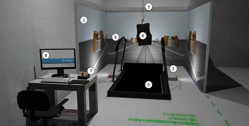 Figure 1. The 3MDR installation. 1. Three projection screens; 2. Three projectors; 3. Ceiling mount and safety line for safety harness; 4. Safety harness; 5. Treadmill; 6. Safety handrails; 7. Emergency stop button and circuit; 8. Desktop PC with operating system.