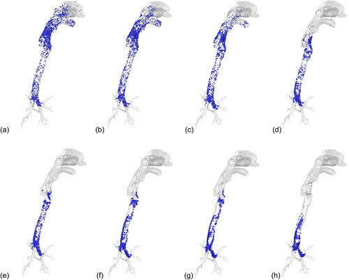 Figure 5. Deposition locations for droplets released from bronchi (30 L/min). (a) 1 µm, (b) 2 µm, (c) 3 µm, (d) 4 µm, (e) 5 µm, (f) 10 µm, (g) 20 µm, and (h) 50 µm.