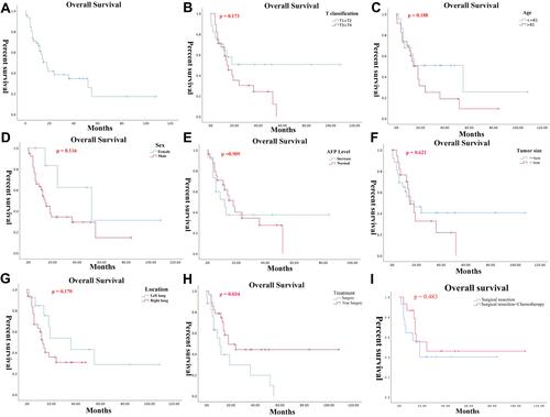 Figure 7 Kaplan-Meier survival curves of patients with hepatoid adenocarcinoma of the lung in different clinicopathological subgroups. (A) Overall survival of all patients with HAL. (B) Overall survival according to the T classification (T1+T2 vs T3+T4). (C) Overall survival according to the age of patients (≤ 61 years vs > 61 years). (D) Overall survival according to the gender of patients (male vs female). (E) Overall survival according to the serum AFP levels (increase vs normal). (F) Overall survival according to the maximal tumor size (≤ 6.0 cm vs > 6.0 cm). (G) Overall survival according to the tumor localization (left lung vs right lung). (H) Overall survival according to the therapeutic method (surgery vs non-surgery). (I) Overall survival according to the therapeutic method (surgery vs surgery + chemotherapy).