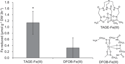 Figure 1. Reducibility of Fe from Fe(III)-chelates by rice roots. Roots of naat1 mutants grown hydroponically for 16 days were used. The reducibility was examined with the BPDS assay. Data are presented as means ± standard deviations (n = 3). * P < 0.05, Student’s t-test