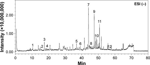 Figure 1 Chromatographic fingerprint analysis of the aqueous BJ extract. Twelve major components in BJ extract were recognized by LC/MS chromatogram. The peak ESI (−) mode as identified including: 1) Bruceoside D (10.6 min); 2) Bruceine E (15.7 min); 3) Bruceine F (17.5 min); 4) Bruceine D (18.6 min); 5) Bruceine B (37.0 min); 6) Bruceine I (39.2 min); 7) Bruceine J (44.2 min); 8) Yadanzioside F (44.7 min); 9) Bruceantinol B (47.7 min); 10) Brusatol (49.2 min); 11) Bruceine A (50.8 min), and 12) Bruceoside E (57.2 min).