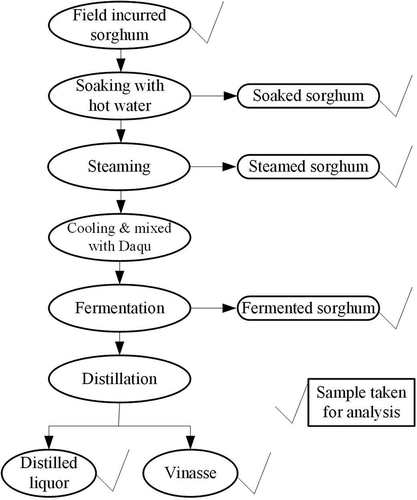 Figure 1. Scheme for the production of Chinese liquor used in this study and sampling points.