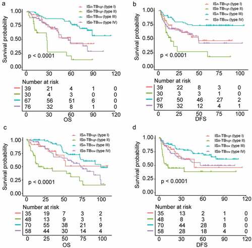 Figure 5. Survival analyses comparing the overall and disease-free survival among four HCC subgroups classified by IS-TB type. (a) overall survival in the training cohort. (b) disease-free survival in the training cohort. (c) overall survival in the validation cohort. (d) disease-free survival in the validation cohort