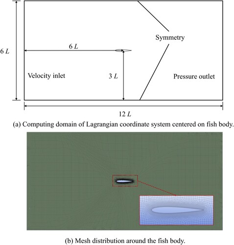 Figure 2. Diagram of the numerical model.