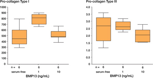 Figure 3. The effects of rhBMP13 on the gene expression of (A) pro-collagen type I and (B) type III by real-time quantitative PCR.The relative gene expression level of pro-collagen type I was significantly increased in human tendon fibroblasts by the presence of rhBMP13 in the medium (p = 0.015 by Kruskal Wallis test).The data are expressed as relative ratio with respect to β-actin.