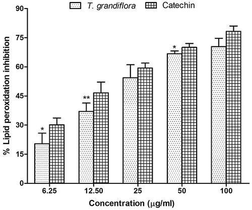 Figure 3. Percentage of lipid peroxidation inhibition at different concentrations of T. grandiflora extract and the reference standard (+)-catechin.