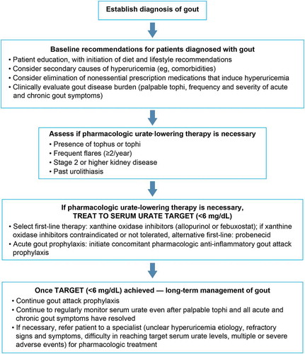 Figure 6. Baseline ACR recommendations and overall strategy for treating and managing patients with gout. Data from Khanna D, et al: Arthritis Care Res (Hoboken) 2012;64(10):1431-46. [Citation53].