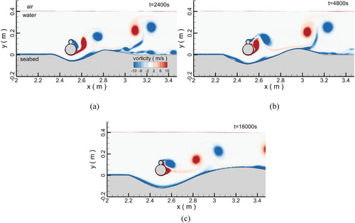 Figure 4. The evolution of the sandy bed and vorticity field around a piggyback pipe. (a) t = 2400 s, (b) t = 4800 s and (c) t = 18,000 s.