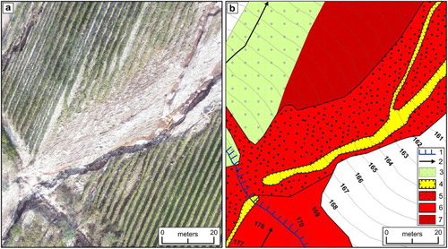 Figure 2. (a) High resolution UAV picture and (b) geomorphological interpretation of the landforms: (1) Manmadescarps with downslope erosion; (2) Rill and gully direction; (3) Rill and gully erosion – Land cover: slope plowing; (4) Area affected by downcutting and lateral erosion; (5) Coarse granular debris flow deposit; (6) Debris flow deposit; (7) Channel outflow with gravel deposition.