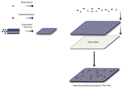 Figure 1 The copolymer-mediated sequestering and integration of multiple therapeutics into a single thin film is shown. Langmuir-Blodgett was used to deposit drug containing triblock copolymer films that can maintain drug incorporation for localized release. Combinatorial therapy at the surface of the material–tissue interface can provide significantly enhanced treatment produced by a noninvasive nanoscale platform. Copyright © 2008. Adapted from CitationPierstorff E, Krucoff M, Ho D. 2008. Apoptosis induction and attenuation of inflammatory gene expression in murine macrophages via multitherapeutic nanomembranes. Nanotechnology, 19:265103–12.