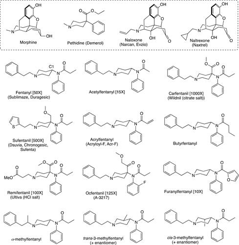 Figure 1. Structure of fentanyl and the analogs discussed in this review along with the morphine and the pethidine scaffolds. A detailed and large medicinal chemistry approach based on the pethidine nucleus gave birth to the fentanyl class of opioids. In addition, the structures of the two most common, current antidotes to treat fentanyl overdose, Naloxone and Naltrexone, are given. Where applicable for the fentanyls, other common names as well as tradenames are provided along with their individual potencies relative to morphine are given in brackets.