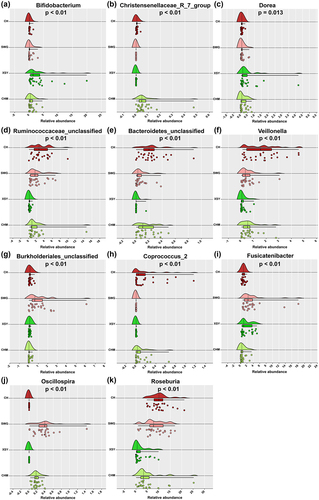 Figure 5. The relative abundance of (a) Bifidobacterium, (b) Christensenellaceae_r_7_group, (c) Dorea, (d) Ruminococcaceae_unclassified, (e) Bacteroidetes_unclassified, (f) Veillonella, (G) Burkholderiales_unclassified, (h) Coprococcus_2, (I) Fusicatenibacter, (j) Oscillospira, and (k) Roseburia from the four donors. The p value was obtained by ANOVA design.