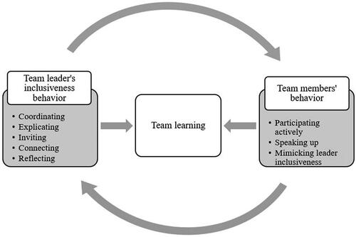 Figure 1. A conceptual framework of interdisciplinary leader inclusiveness behavior, enhancing team learning behavior.