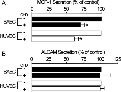 Figure 2.  Extracellular MCP-1 levels are decreased by CHD treatment. Confluent HUVECs and BAECs were incubated with or without CHD (2 µg/mL) in serum-free media for 16 h. Extracellular media were harvested and concentrated, and MCP-1 and ALCAM levels were determined by ELISA. Data were obtained from three independent experiments (mean±SE, n=3, *P<0.01).