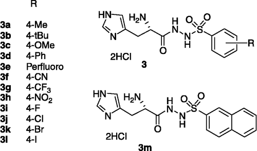 Figure 2 Structure of inhibitors series 3.