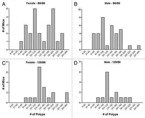 Figure 5 Polyp multiplicity for mice in the Cav1−/−x ApcMin/+ colony based on sex and D6Mit33 genotype. Polyp number data includes both small intestine and colon. Female mice were separated into (A) B6/B6 (n = 25) and (B) 129/B6 (n = 18) genotypes. High polyp multiplicity in B6/B6 female mice was defined as >150 polyps. Male mice were also separated into (C) B6/B6 (n = 35) and (D) 129/B6 (n = 14) genotypes. High polyp multiplicity in B6/B6 male mice was defined as >110 polyps.