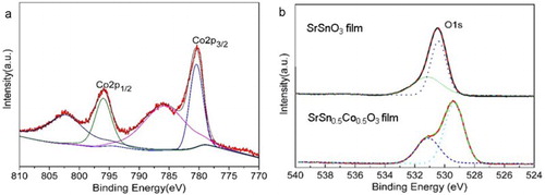 Figure 3. XPS spectra of element (a) Co and (b) O in SSCO film and SrSnO3 films (oxygen pressure: 0.1 Pa). The color lines were fitting curves of Co 2p peaks and dash lines were fitting curves of O1s peaks. The charge shifted spectra were corrected using the adventitious C 1s photoelectron signal at 284.6 eV.