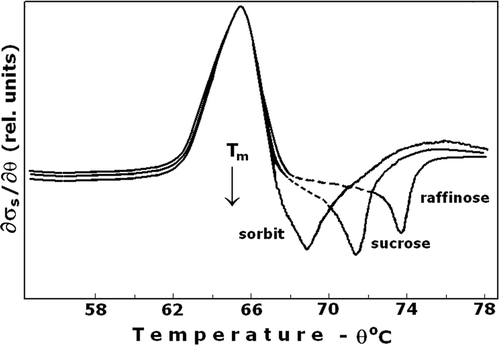 Figure 2. Ion leakage at the presence of various osmotic protectors. The erythrocyte suspension medium was an isotonic solution that contained 50 mM NaCl and 200 mOsm of the applied osmolyte; sorbitol, sucrose and raffinose. Positive peak depicts the ion leakage, the consequent negative peak corresponds to the inward diffusion of the osmolyte. The other details are as for Figure 1.