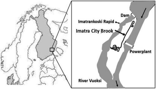 Figure 1. Location of Imatra City Brook in south-eastern Finland at the Vuoksi river.