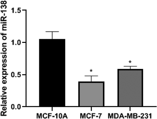 Figure 2. The expression of miR-138 in BC cells of each group. Note: *P< 0.05, compared with the MCF-10A group