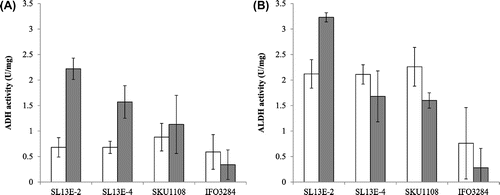 Fig. 4. ADH and ALDH activities in cells grown with and without ethanol.Note: ADH (A) and ALDH (B) activities of the A. pasteurianus SL13E-2, SL13E-4, SKU1108, and IFO3284 strains grown at 37 °C without ethanol (white bars) and with ethanol (ash bars) in the culture medium. Assays were performed in triplicate. Bars indicate averages, and the error indicates standard deviation.