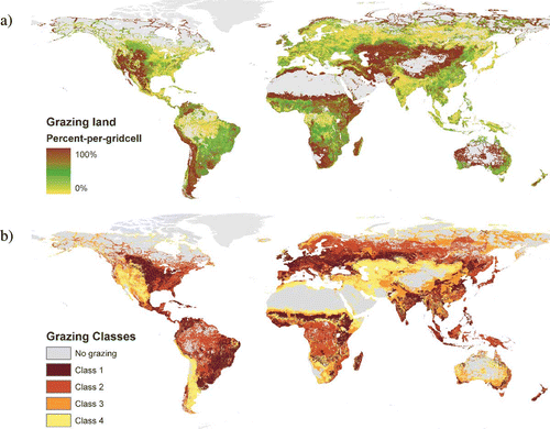 Figure 2. Patterns of land use. (a) Grazing land and (b) grazing suitability classes: 1 high suitability, 4 low suitability. Greenland and Antarctica excluded. (Available in colour online)