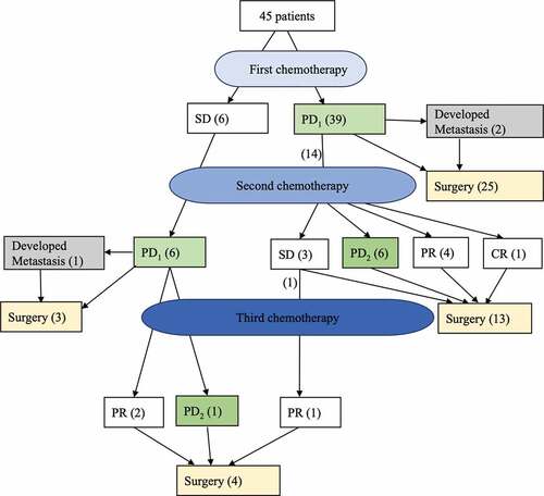 Figure 1. Timing of PD/SD/response on NACT.