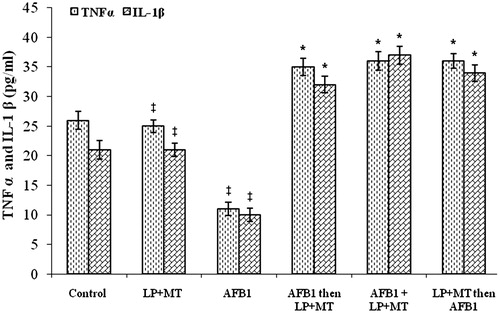 Figure 2. TNFα and IL-1β in plasma from rats after treatment. Rats were orally exposed daily, as indicated in Table 1. Plasma was collected from blood isolated 12 h after final treatment. Data shown are means ± SD. *For each given cytokine, the value was significantly different from control and all other treatment group values (p < 0.05); ‡For each given cytokine, the value was significantly different from control, LP + MT only, and AFB1 only, but not from one another (p < 0.05).