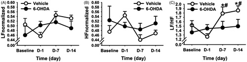 Figure 6. Time course of changes in heart rate variability (HRV) parameters during chronic variable stress (CVS) in vehicle- and 6-hydroxydopamine (6-OHDA)-treated rats. Normalized low frequency (LF) (A) and normalized high frequency (HF) (B) parameters of HRV showed no significant differences with stress or 6-OHDA lesion. (C) CVS increased LF:HF ratio component of HRV in the vehicle group, and this effect was prevented by 6-OHDA lesion. #Indicates significant difference, p < 0.05, from pre stress values. *Indicates significant difference, p < 0.05, from CVS day 1:two-way ANOVA with repeated measures followed by protected Fisher’s post hoc analysis. Data are expressed as mean ± SEM with n = 5–6 per group.