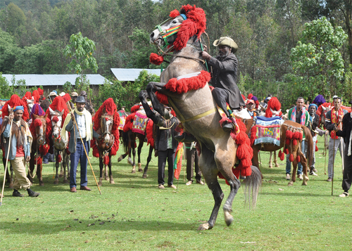 Figure 5. Selamti/horse greeting undertaken to the guests during horse riders’ annual festival/.