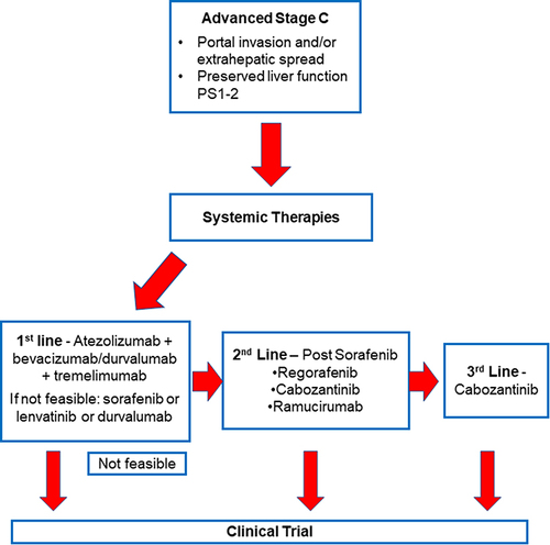 Figure 1 Management algorithm for advanced hepatocellular carcinoma.