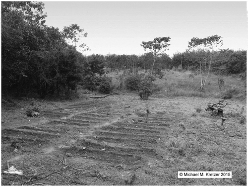 Figure 2. School garden in Nkhata Bay district. Source: Michael M. Kretzer 07 2015.