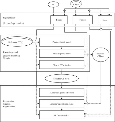 Figure 3. Registration of CT and PET volumes using a breathing model. Segmentations are performed on the volumes, whereas simulation of lung shapes is based on surface meshes. Consequently, the first two steps of the registration process are performed on meshes, while the final step, concerning PET deformations, is computed on the volumes: We obtain a dense registration of the PET volume to the original CT volume.