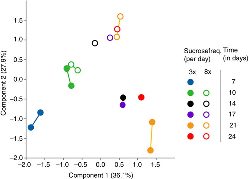 Fig. 4 Principal component analysis (PCA) plot of microbiome samples from all time points. The drawn lines link two samples from the same condition group: at day 7 between different pans, at day 10 and 21 within one pan. Biofilm age is indicated with different colors for the three times-a-day sucrose group (closed circles) and the eight times-a-day sucrose group (open circles). The thickness of all biofilms was 600 µm.