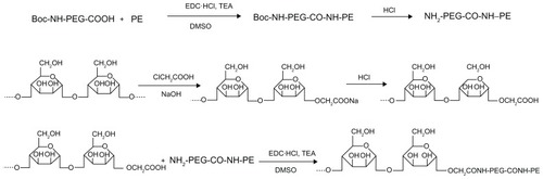 Figure 1 General reaction scheme for synthesis of MN-PEG-PE.Abbreviations: DMSO, dimethylsulfoxide; MN, mannan; PEG, polyethylene glycol; PE, L-α-phosphatidylethanolamine; TEA, triethylamine.