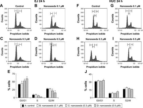 Figure 2 Cell cycle phase distribution of EJ cells treated with Au@Pt-NSs.Notes: Both EJ cells and HUCs were incubated with Au@Pt-NSs at concentrations of 0 μM (A, F), 0.1 μM (B, G), 0.3 μM (C, H), and 0.5 μM (D, I) for 24 h. FACS histograms of EJ cells (A–E) and HUCs (F–J) are shown. Values on the bar graph are presented as mean ± SD from triplicate experiments. *P < 0.05, compared with the control group.Abbreviations: Au@Pt-NSs, gold@platinum nanoseeds; FACS, fluorescence-activated cell sorting; HUCs, human urothelial cells.