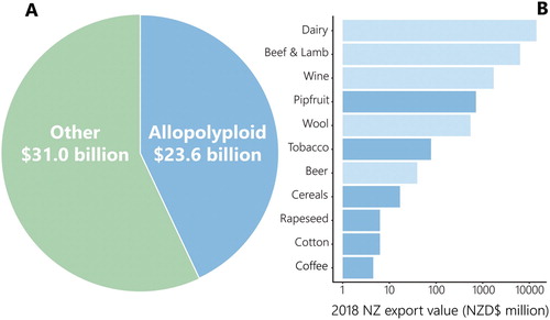 Figure 1. Economics of New Zealand allopolyploids. (A) Pie chart of New Zealand’s total exports in 2018, separated into goods that derive directly or indirectly from systems that are reliant on allopolyploid species (blue) and other goods (green). Data were obtained using the New Zealand Trade Dashboard (Stats NZ Citation2019; accessed 24 June 2019) for the categories ‘exports’, ‘goods’ and ‘2018’. (B) Breakdown of allopolyploid export goods based on their individual contributions to the New Zealand economy in 2018 (NZ dollars, millions). Goods that are directly allopolyploid are represented by dark blue bars. Goods that derive indirectly from allopolyploid species are represented by pale blue bars. The x-axis is a log (base 10) scale.