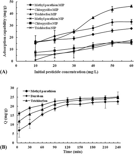 Figure 3. Adsorption isotherm (A) and the uptake kinetic (B) plots of the MIP and NIP.