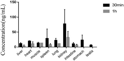 Figure 4. Concentration of tadehaginoside in rat tissues determined by HPLC-MS/MS.