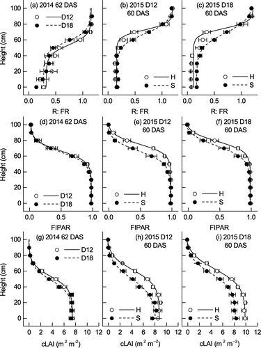 Figure 5. Distribution of (a–c) R:FR, (d–f) fraction of intercepted PAR (FIPAR), and (g–i) cumulative LAI (cLAI) from the soil surface to the top of the canopy at 62 DAS in 2014 and at 60 DAS in 2015. Values are mean ± S.E. (n = 6). All variables were fitted to a logistic function [Equation (Equation1(1) )]. The Onset and End (x and y), distance, asymptote, and root mean square error of the fitted lines are shown in Table 4.