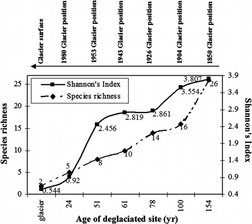 FIGURE 2.  Relation between species richness, Shannon's Index, and age of deposition of moraines