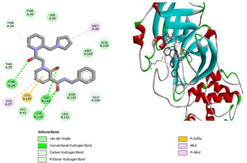 Figure 10. 2D diagram of interactions, and positioning of the molecule M62 inside the active site of SARS-CoV-2 main protease.